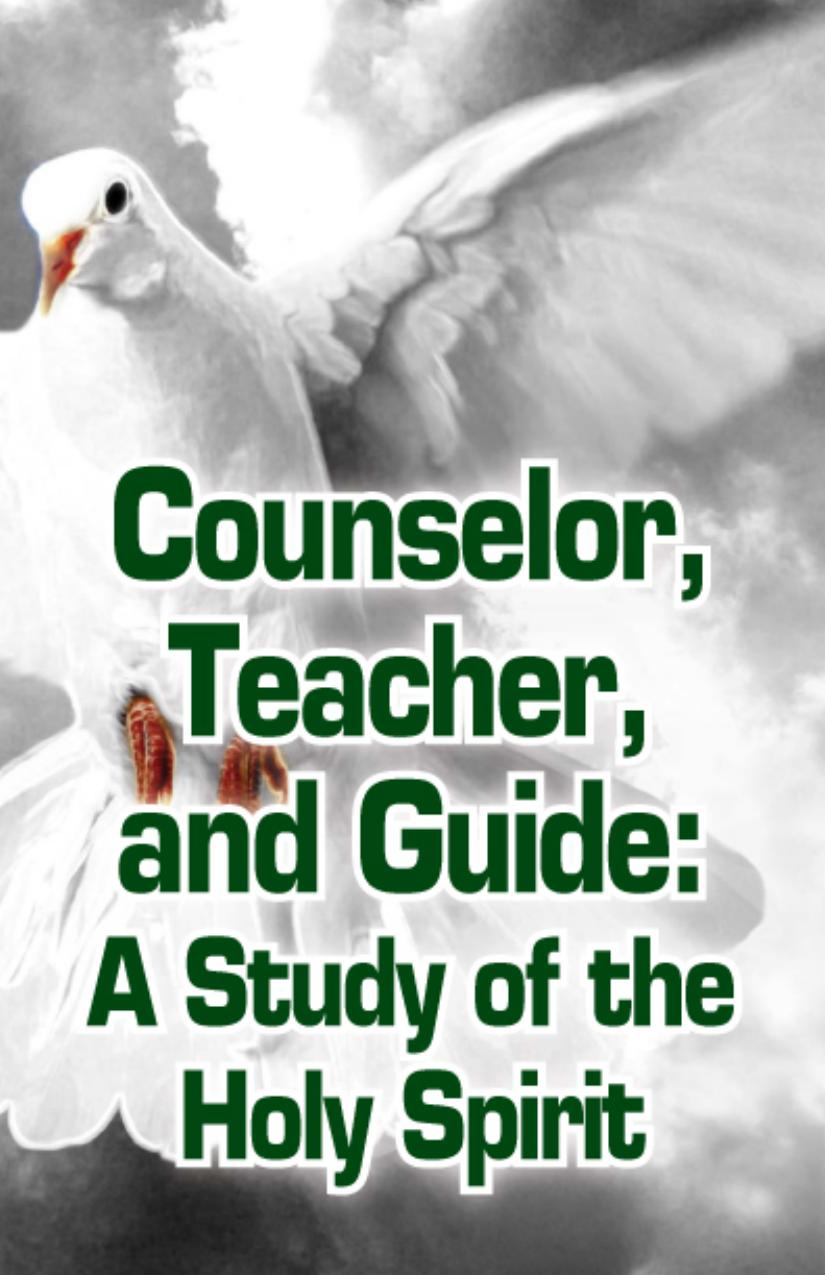 Counselor, Teacher, and Guide